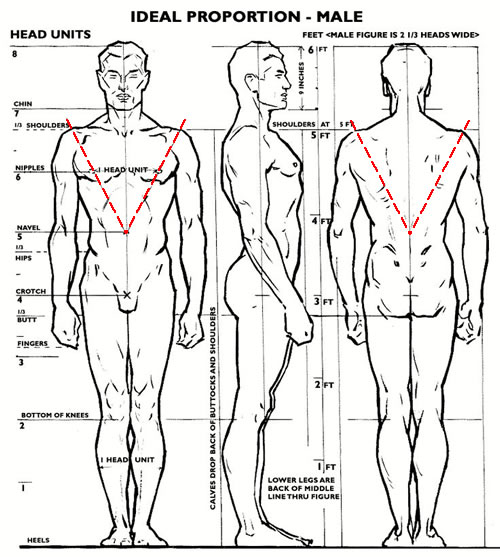 Body Masculinization Surgery (FMS) - FTM Facial Surgery